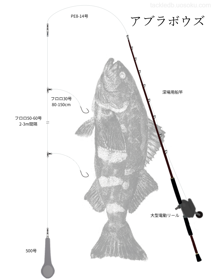 アブラボウズ釣りの基本仕掛け、タックル