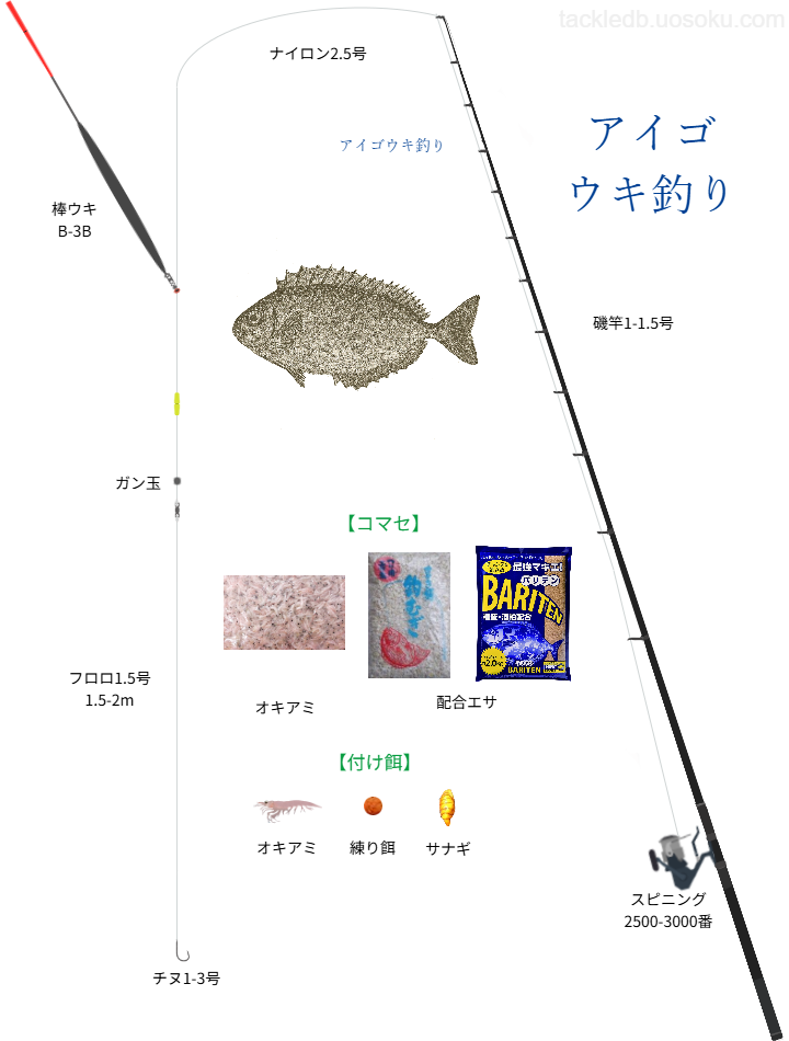 アイゴのウキ釣りの基本仕掛け・タックル