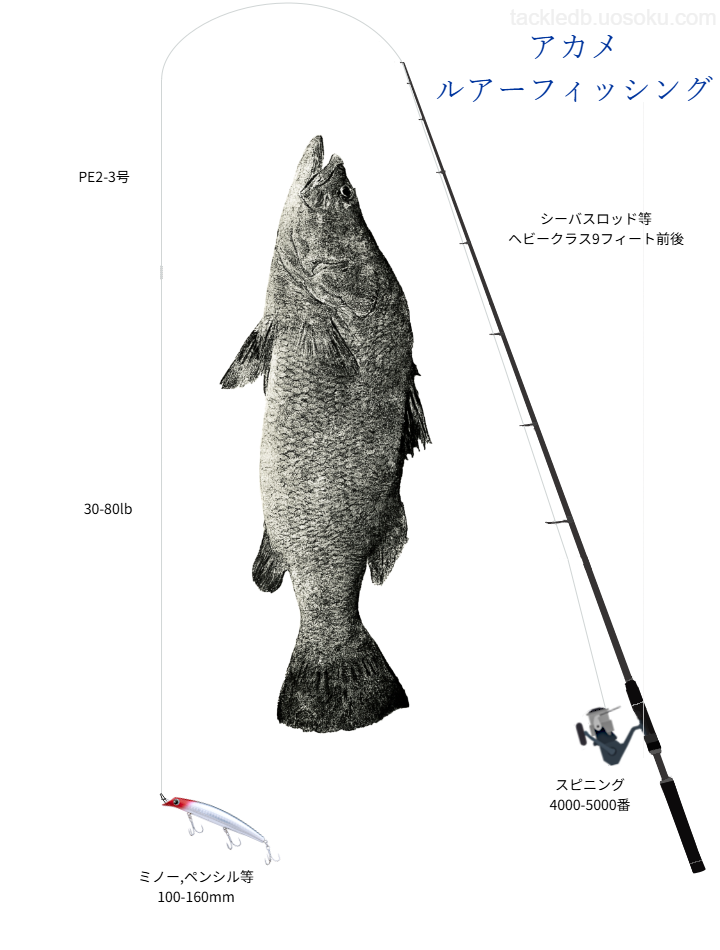アカメルアーの基本タックル
