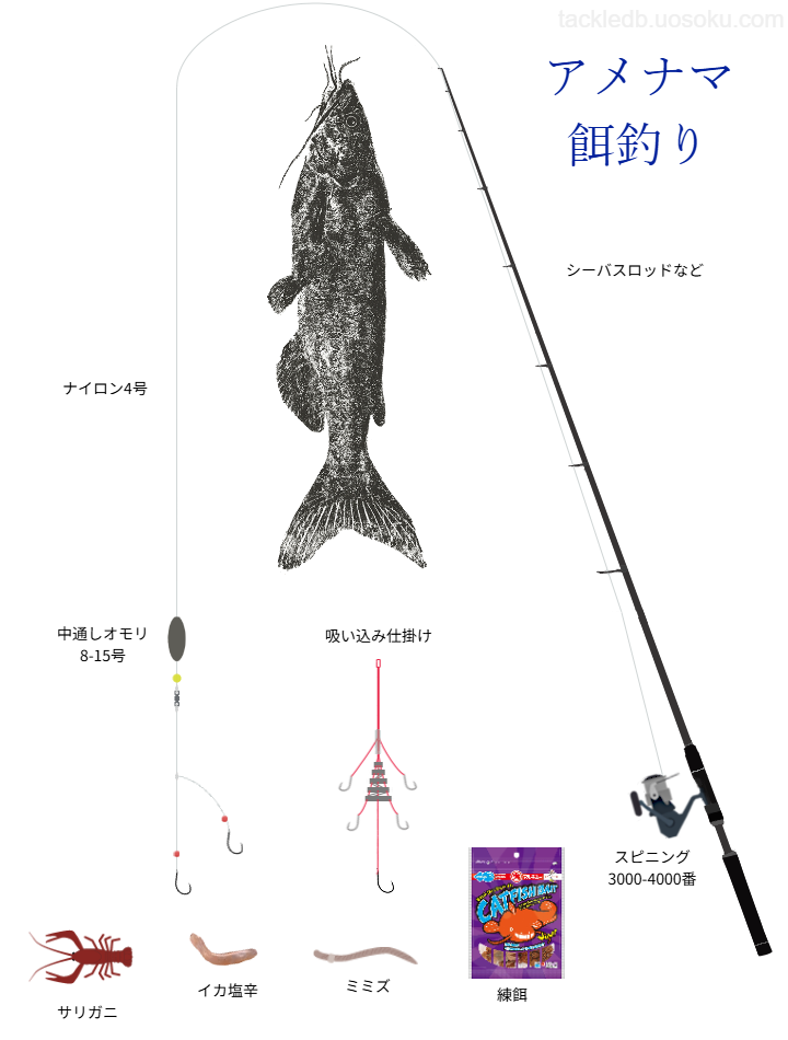 アメリカナマズ餌釣りの基本仕掛け・タックル
