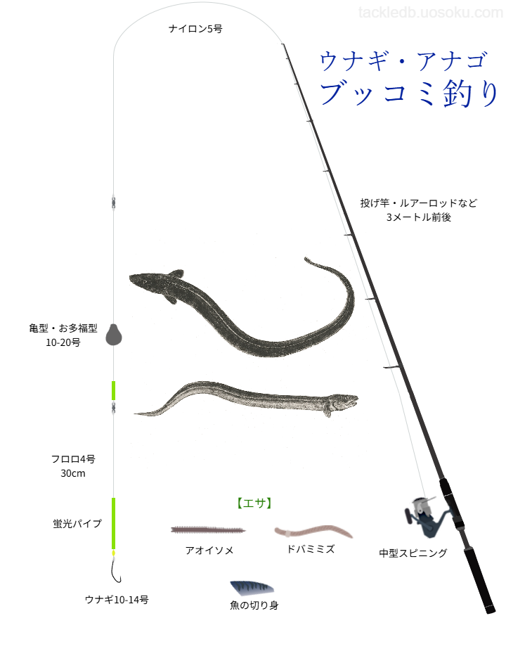 アナゴ・ウナギブッコミ釣りの基本仕掛け・タックル