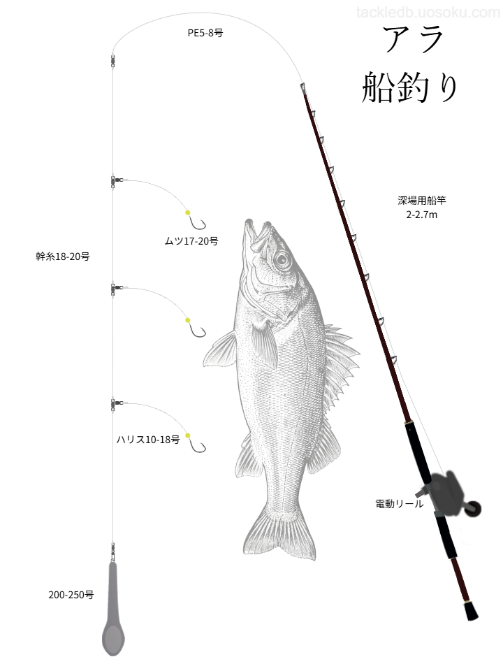 アラ船釣りの基本仕掛け、タックル