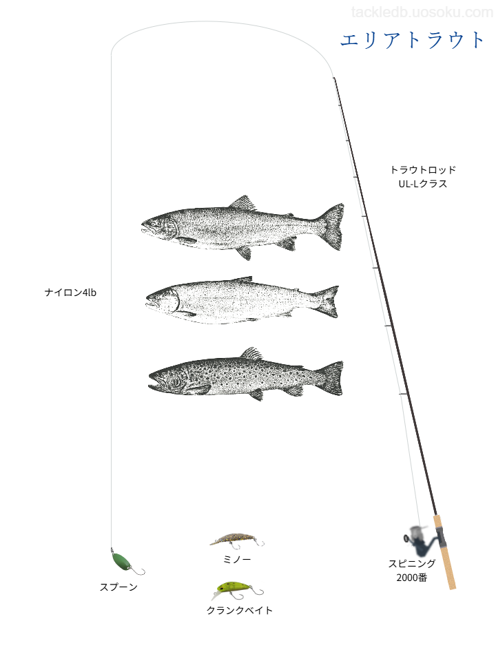 エリアトラウトの基本タックル