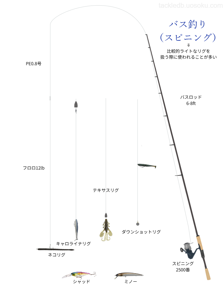バス釣りスピニングタックルの基本