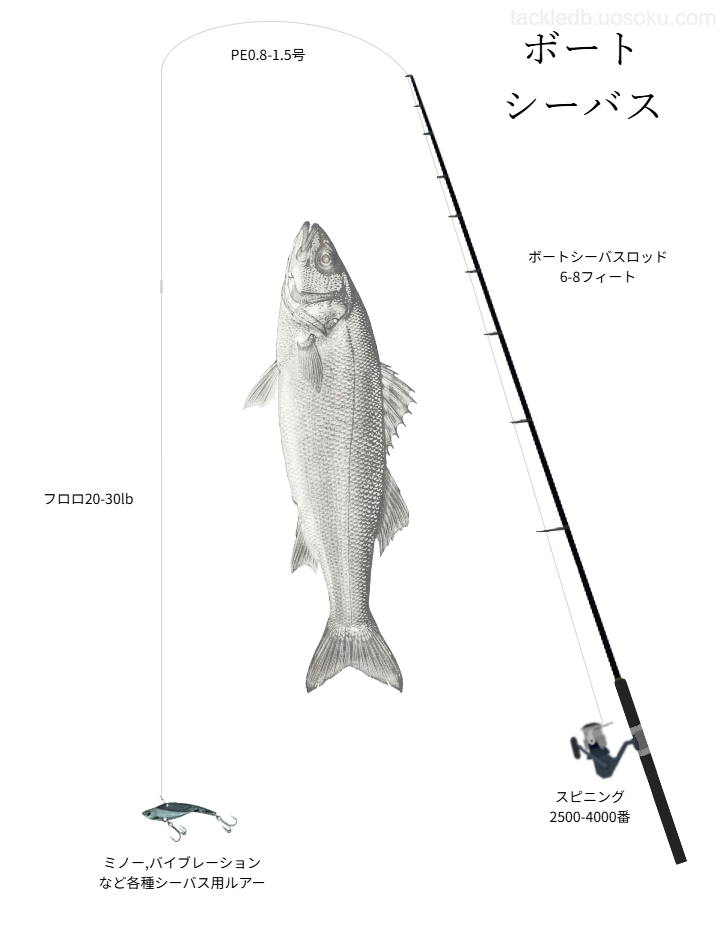 ボートシーバスの基本タックル