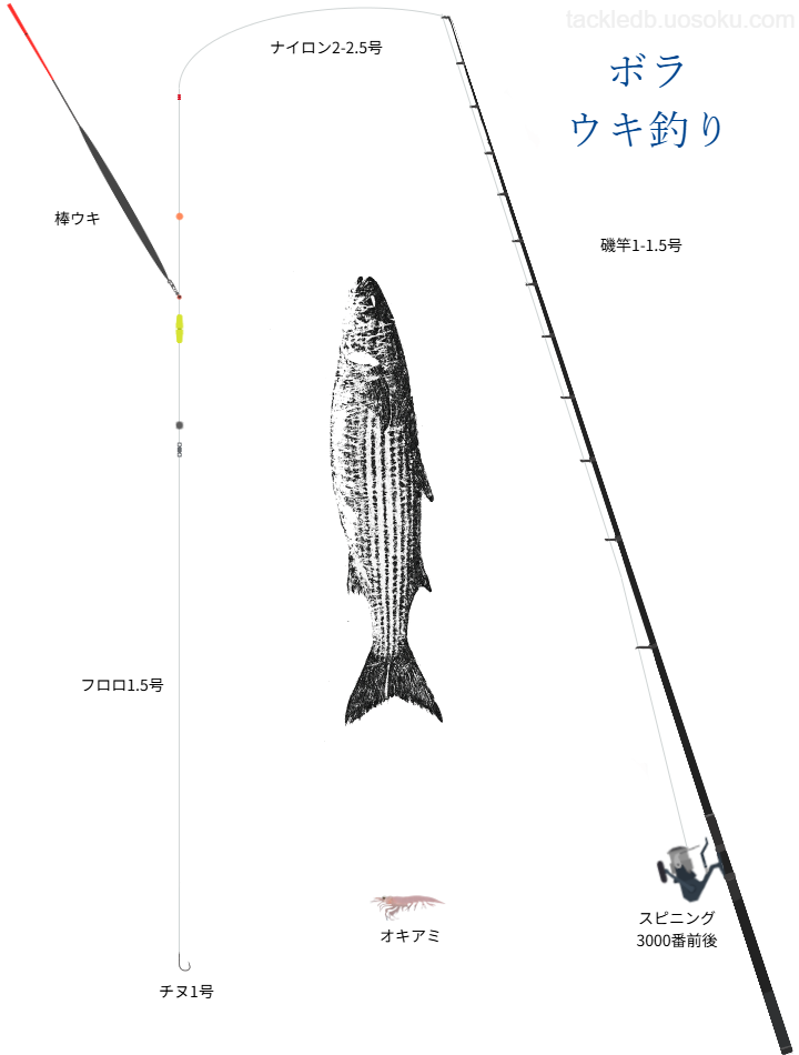 ボラウキ釣りの基本仕掛け・タックル