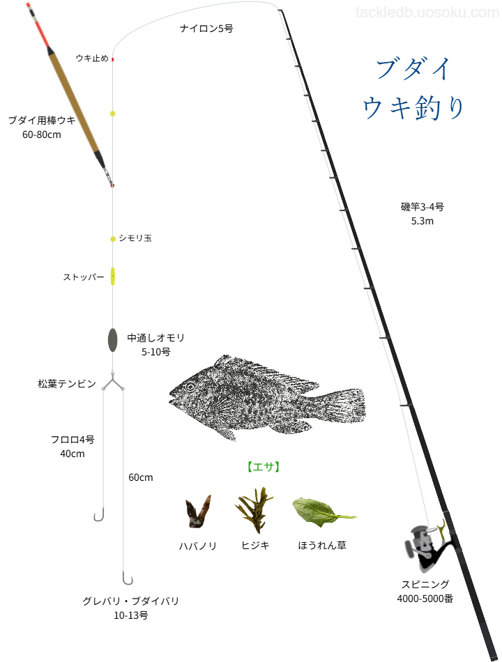 ブダイのウキ釣りの基本仕掛け・タックル