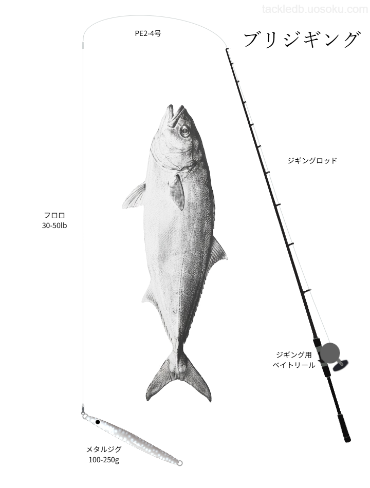 ブリジギングの基本タックル