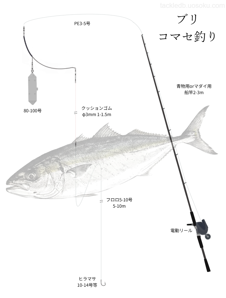 ブリコマセ釣りの基本仕掛け・タックル