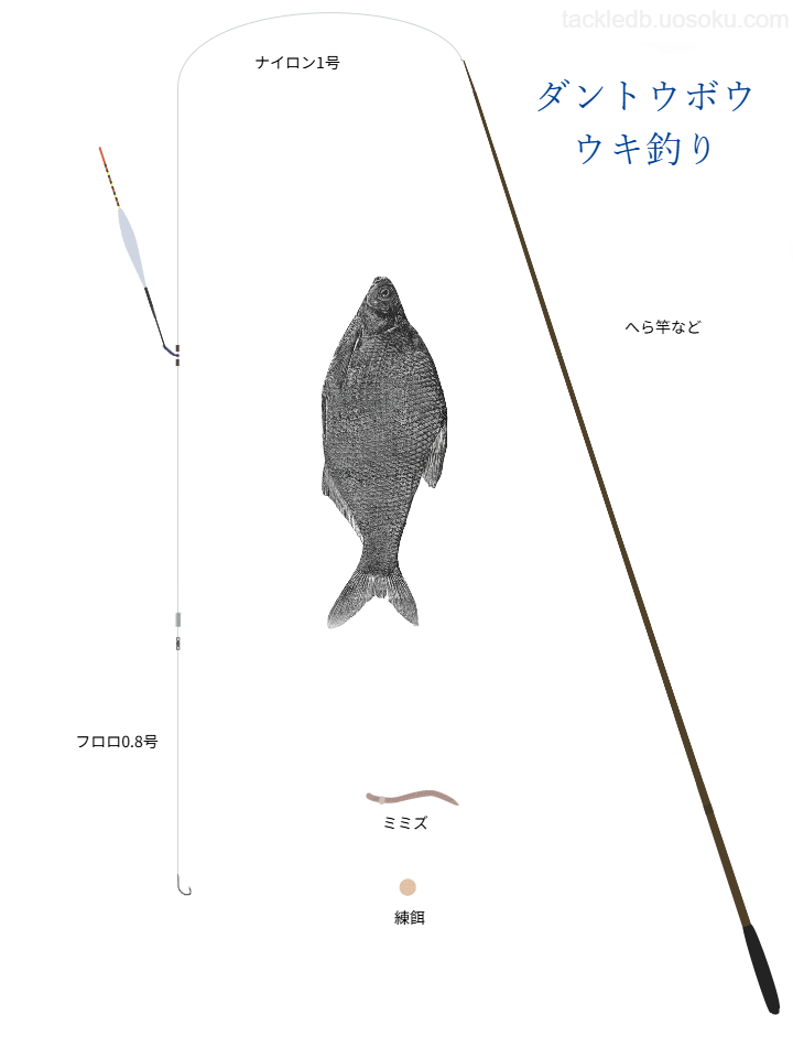 ダントウボウウキ釣りの基本仕掛け・タックル