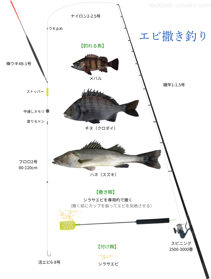 エビ撒き釣りの基本仕掛け・タックル