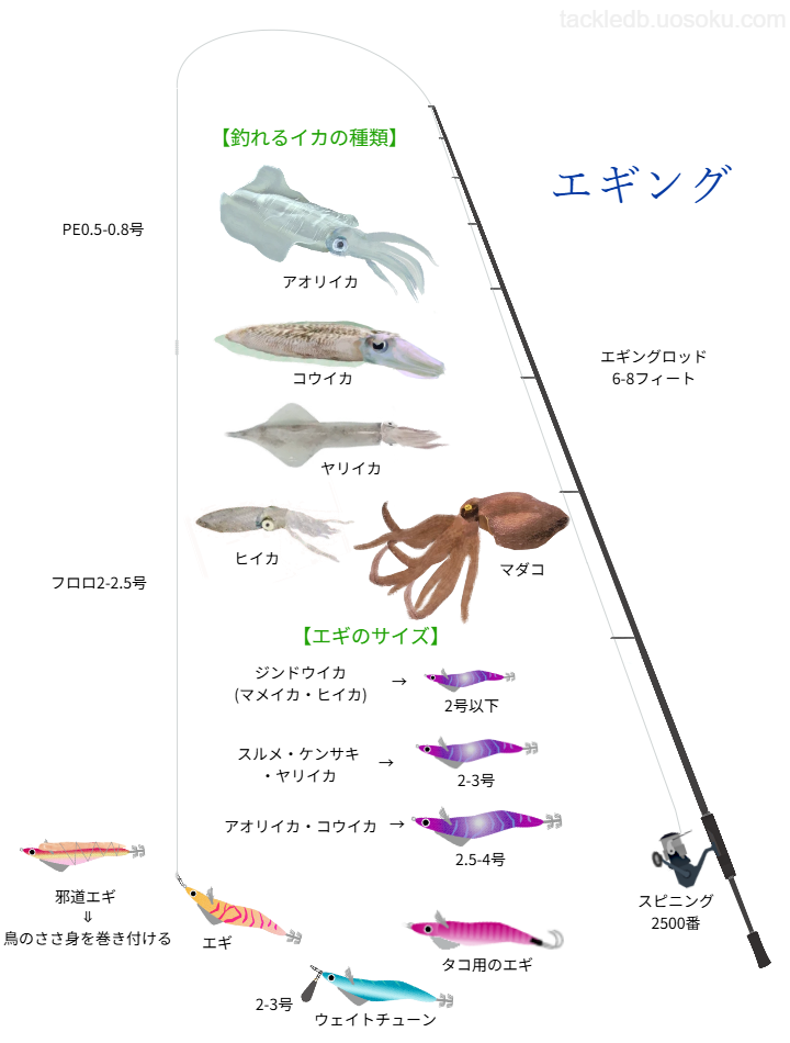 エギングの基本仕掛け・タックル