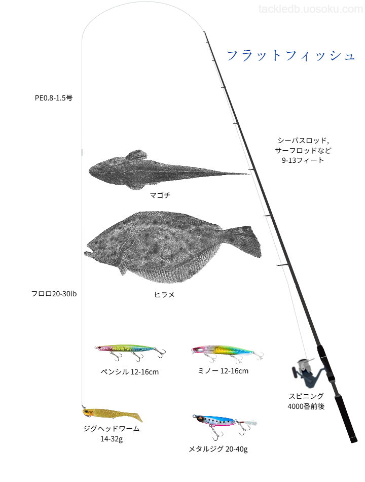 フラットフィッシュ(ヒラメ・マゴチ)ルアーの基本タックル