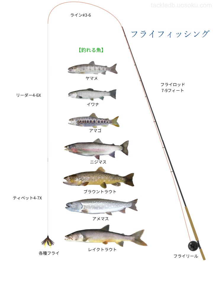 フライフィッシングの基本