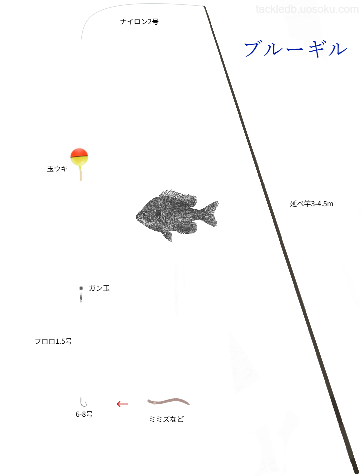 ブルーギル餌釣りの基本仕掛け・タックル