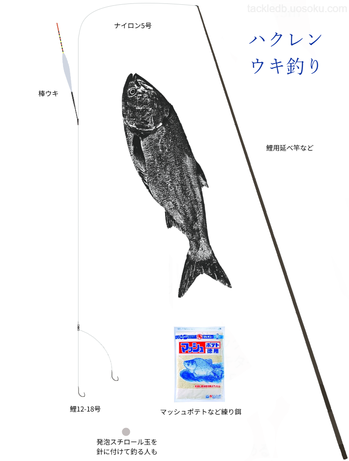 ハクレンウキ釣りの基本仕掛け・タックル