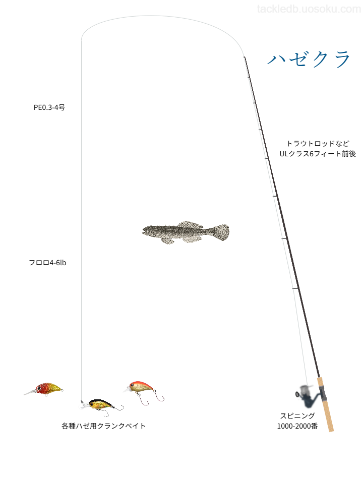 ハゼクラの基本タックル