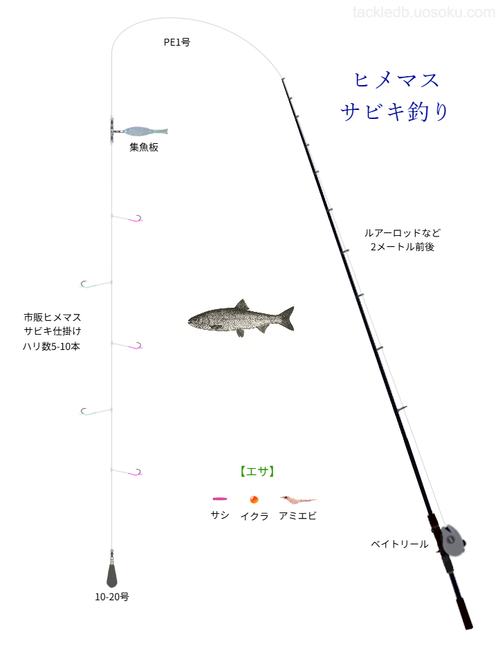 ヒメマスサビキ釣りの基本仕掛け・タックル