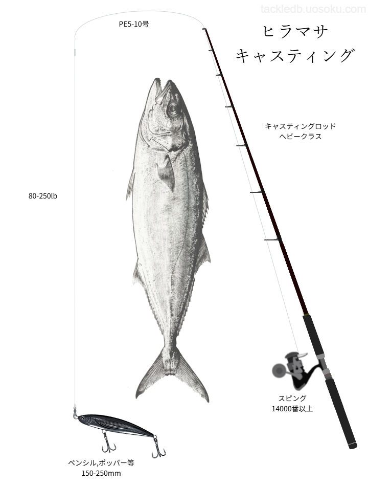 ヒラマサキャスティングの基本タックル