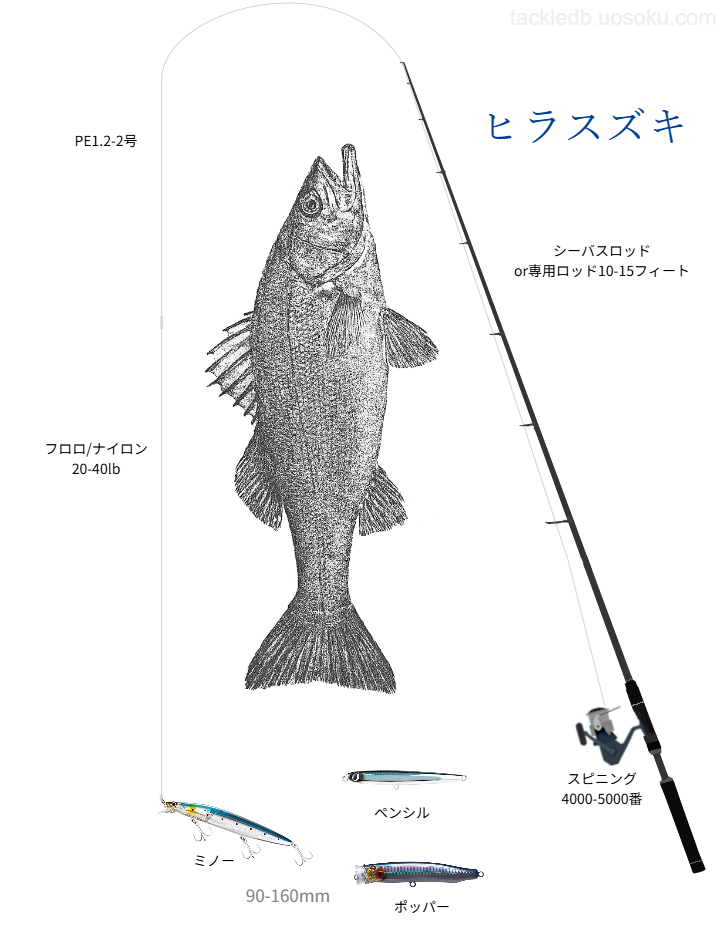 ヒラスズキルアーフィッシングの基本タックル
