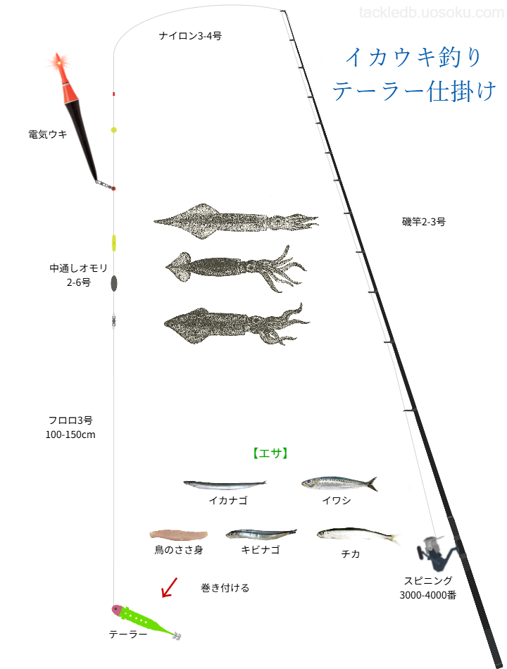 イカウキ釣りテーラー仕掛けの基本・タックル