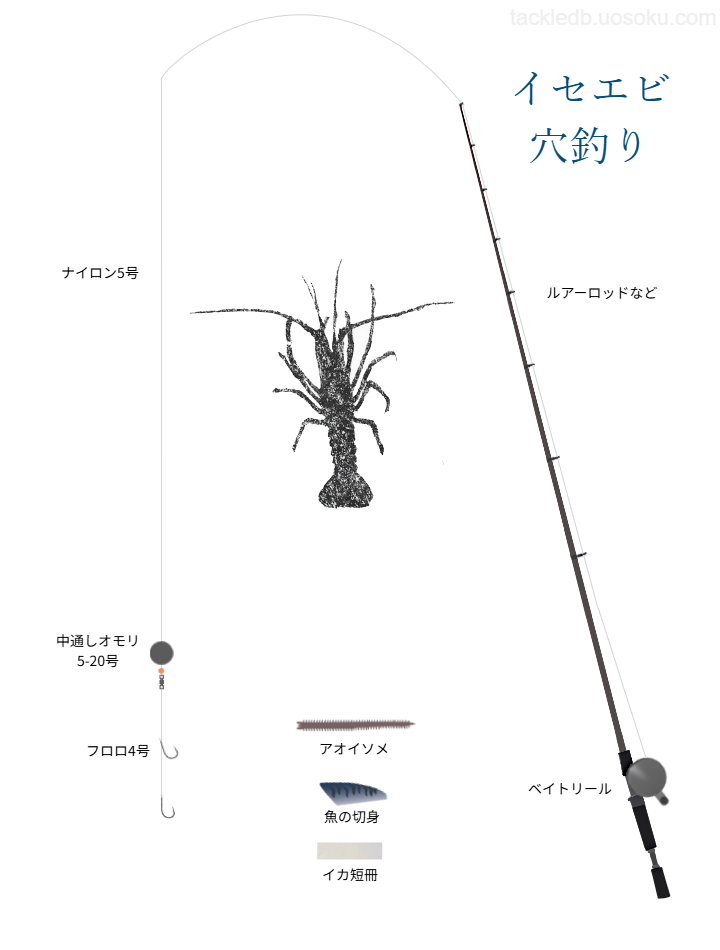 イセエビ穴釣りの基本仕掛け・タックル