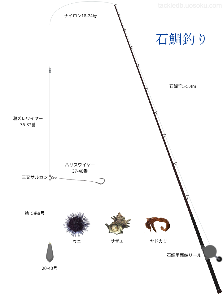 石鯛釣りの基本仕掛け・タックル