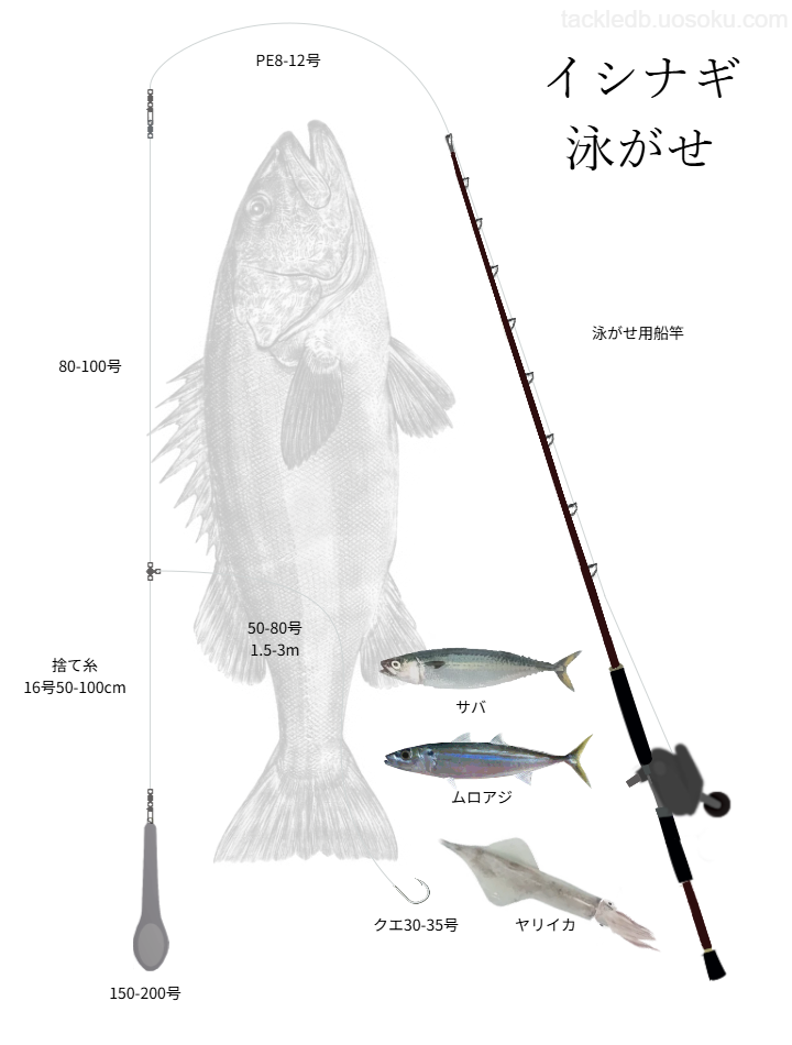 イシナギ釣りの基本仕掛け、タックル