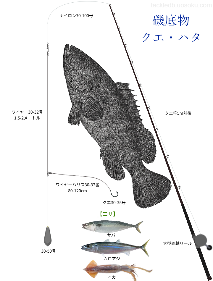 磯底物(クエや大型ハタ類)の基本仕掛け・タックル