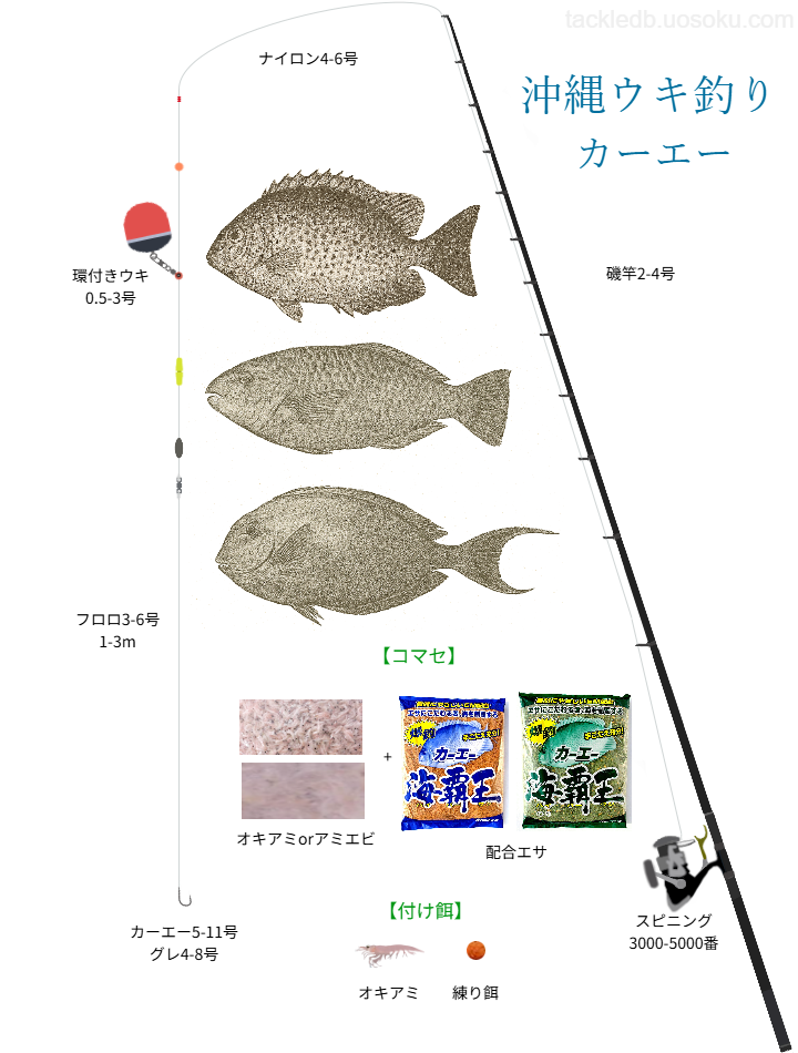 カーエー等沖縄のウキ釣りの基本仕掛け・タックル