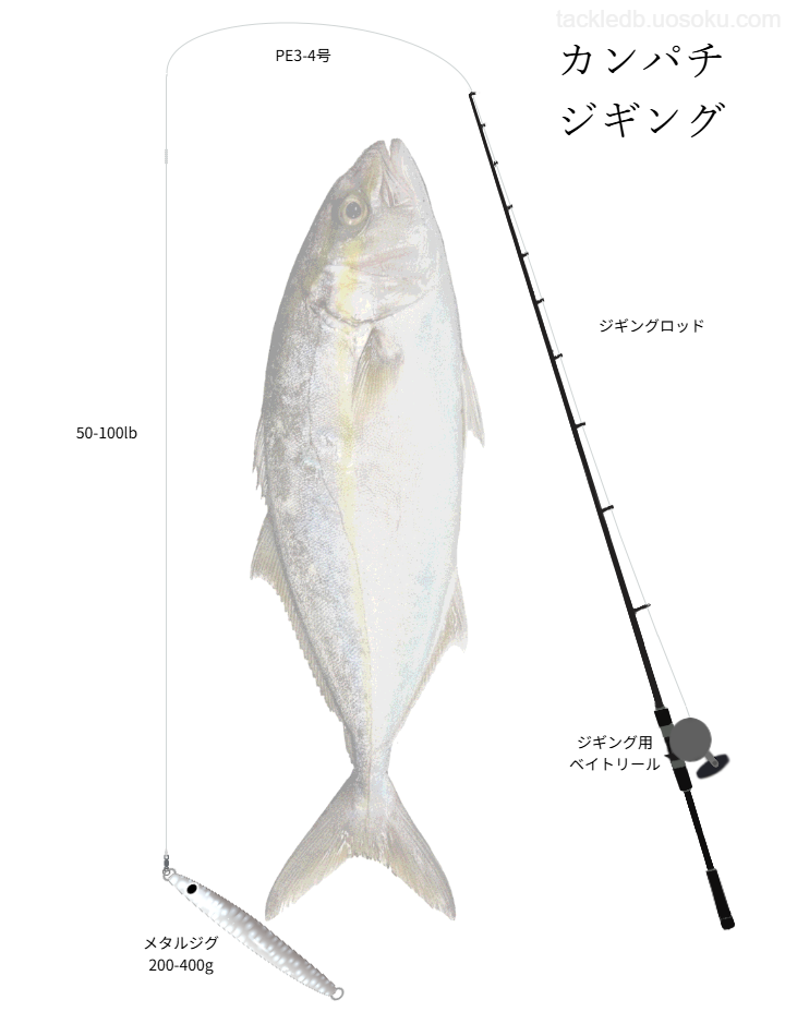 カンパチジギングの基本タックル