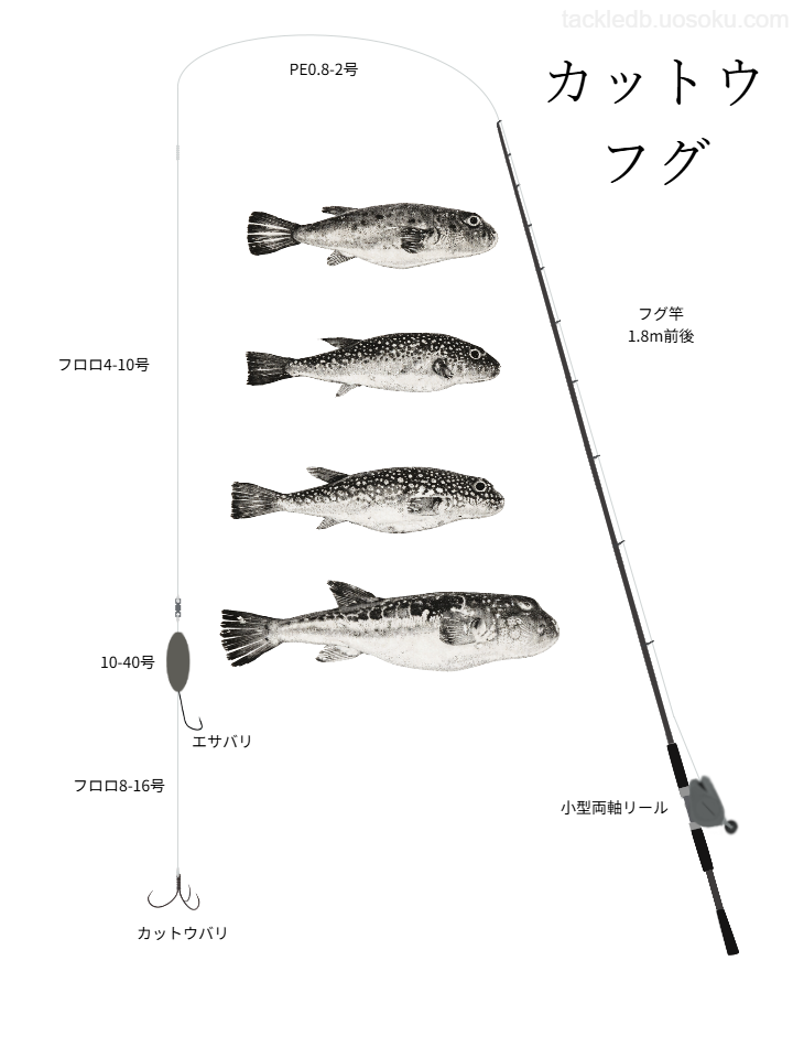カットウフグ釣りの基本仕掛け、タックル