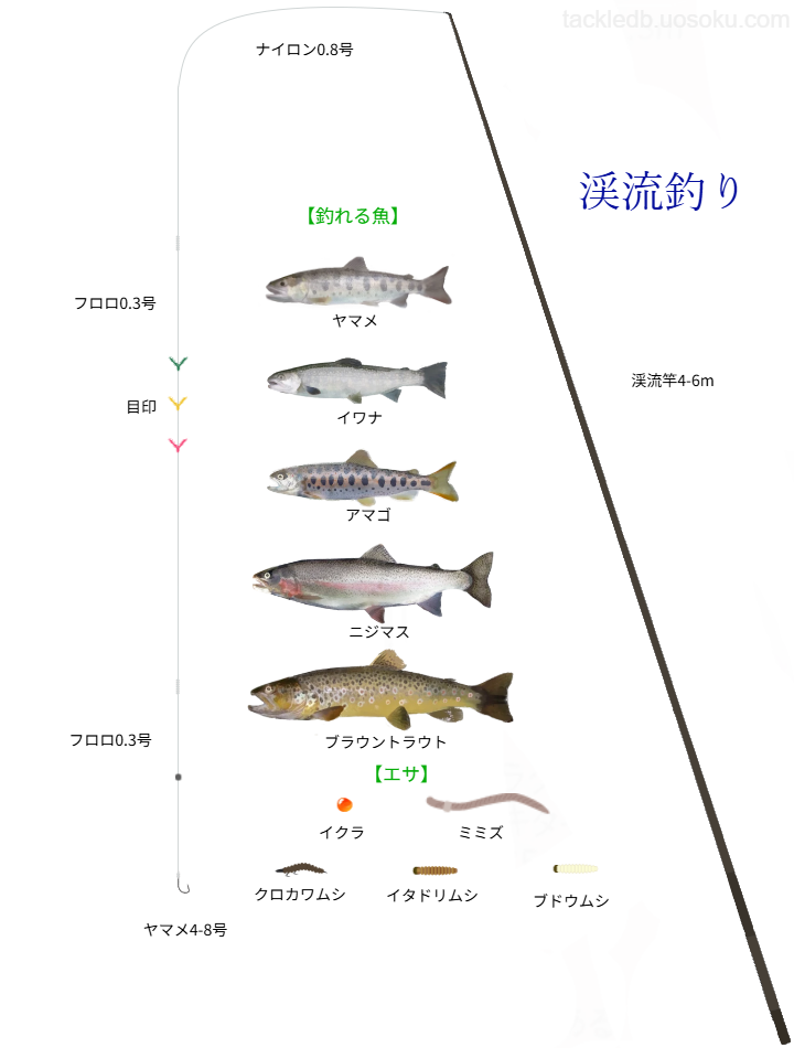 渓流エサ釣りの基本仕掛け・タックル