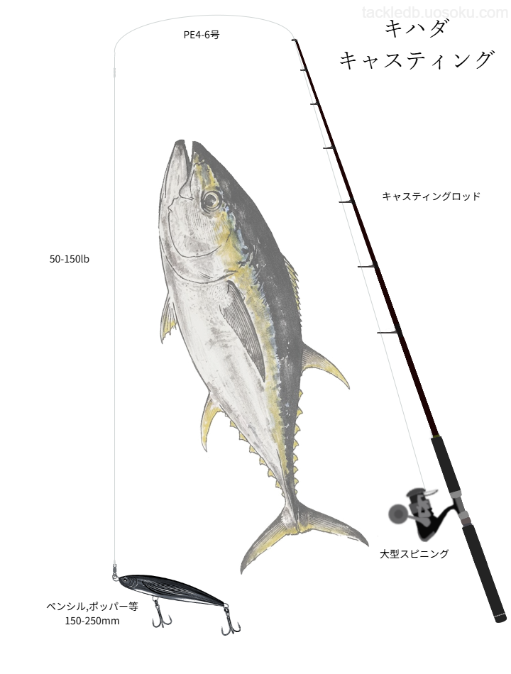 キハダキャスティングの基本タックル