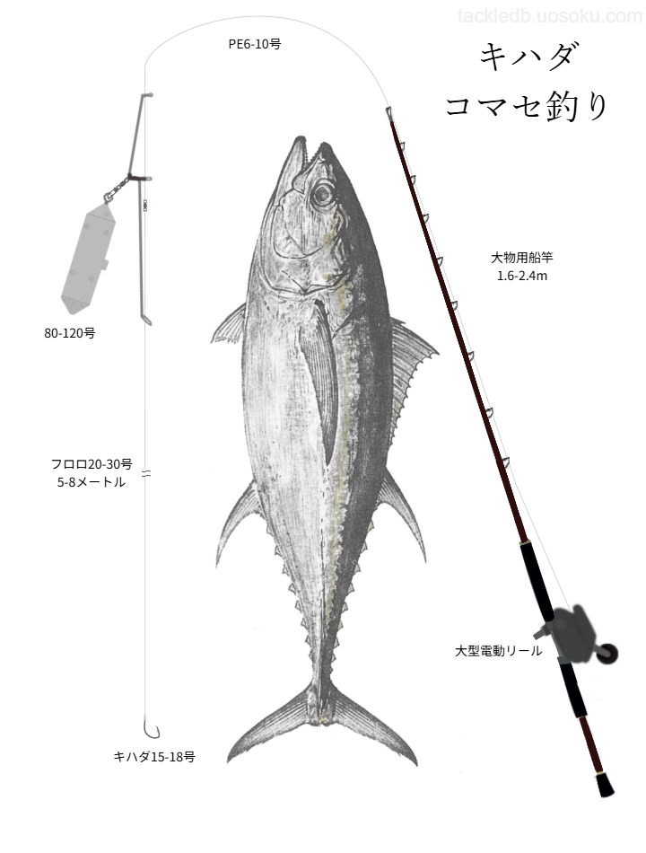 キハダマグロコマセ釣りの基本仕掛け・タックル