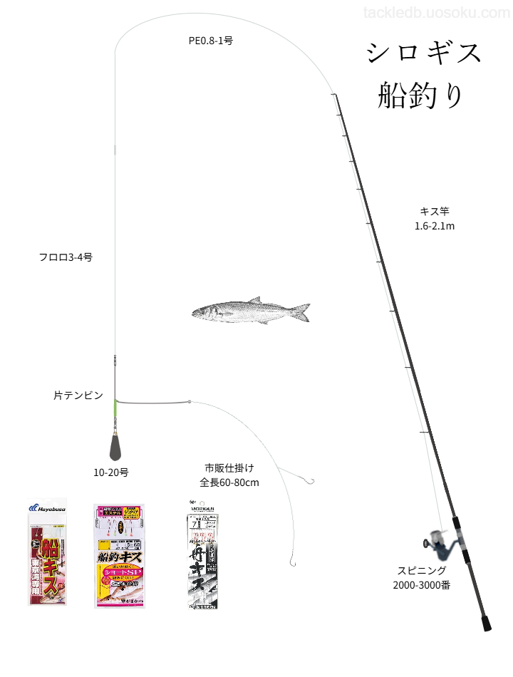 シロギス船釣りの基本仕掛け、タックル
