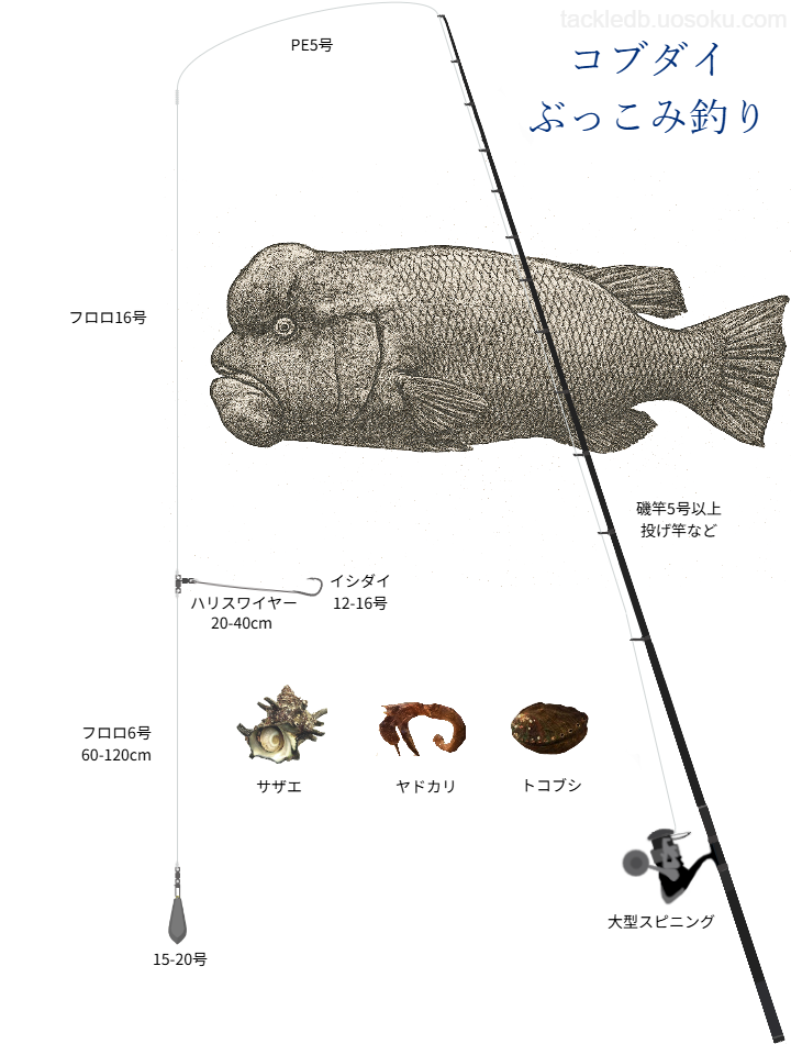 コブダイぶっこみ釣りの基本仕掛け・タックル