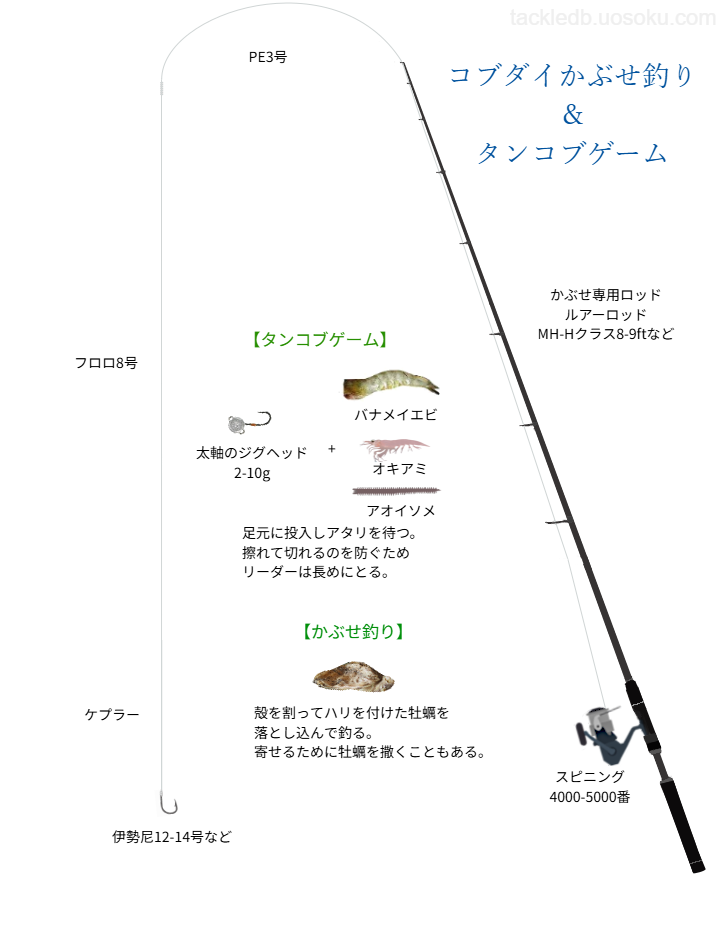 コブダイかぶせ釣り&タンコブゲームの基本仕掛け・タックル