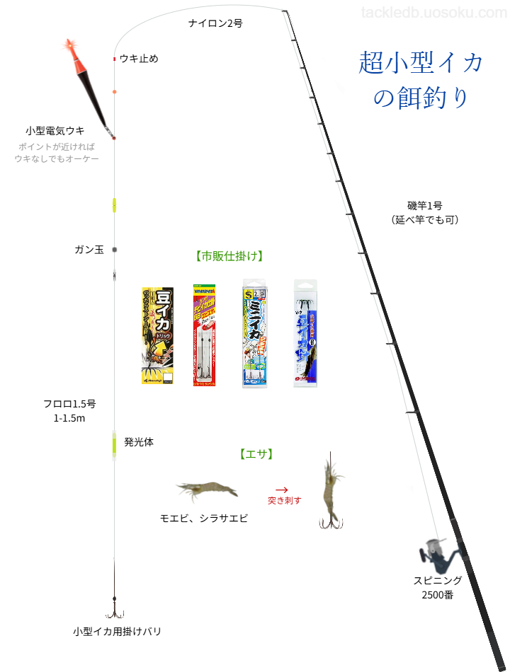 マメイカ、ヒイカ、ベイカ、チイチイイカのエサ釣り基本仕掛け・タックル