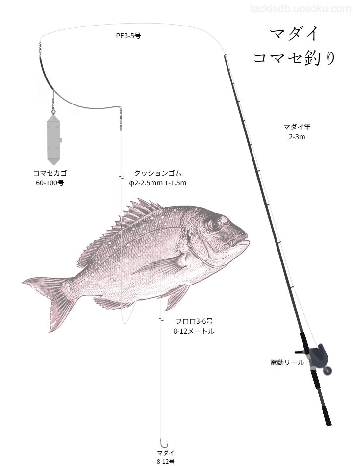 マダイコマセ釣りの基本仕掛け・タックル
