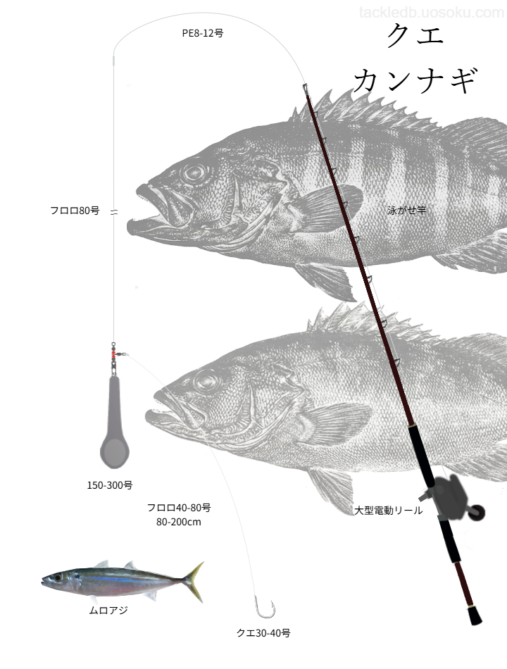 クエ・カンナギ船釣りの基本仕掛け、タックル