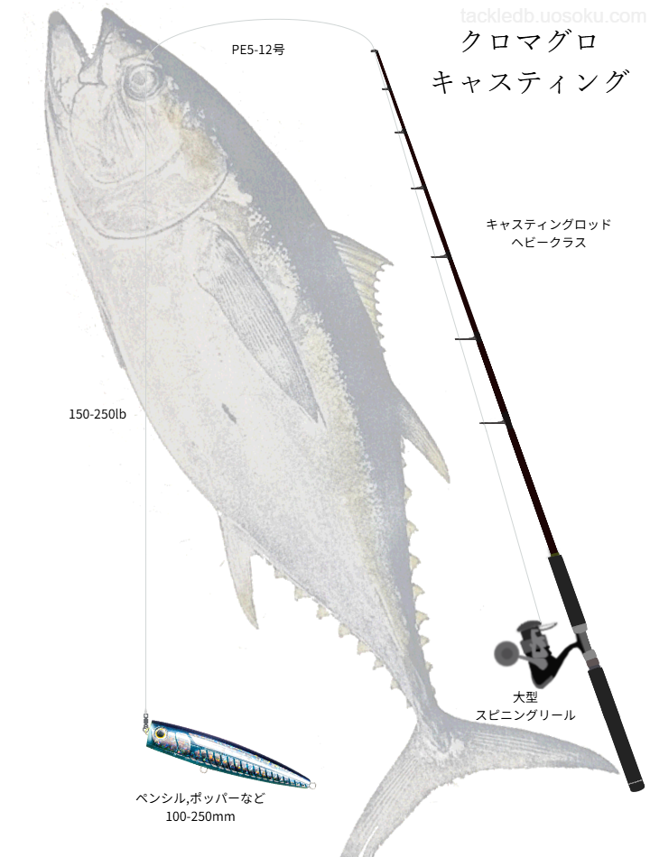 クロマグロキャスティングの基本タックル