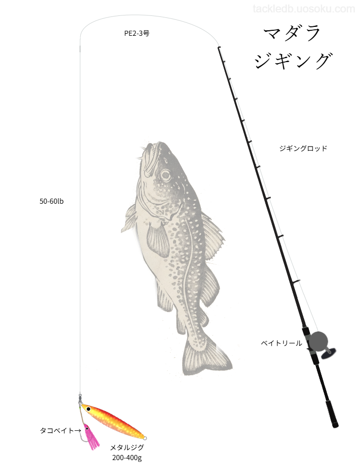 マダラジギングの基本タックル