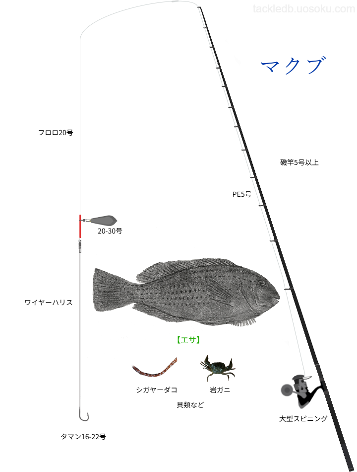 マクブ打ち込み釣りの基本仕掛け・タックル