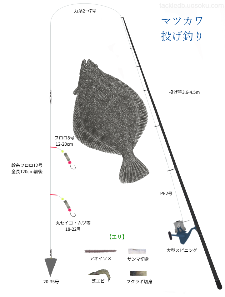 マツカワガレイ投げ釣りの基本仕掛け・タックル