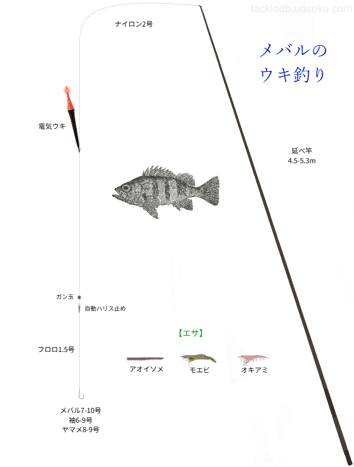 メバルウキ釣りの基本仕掛け・タックル