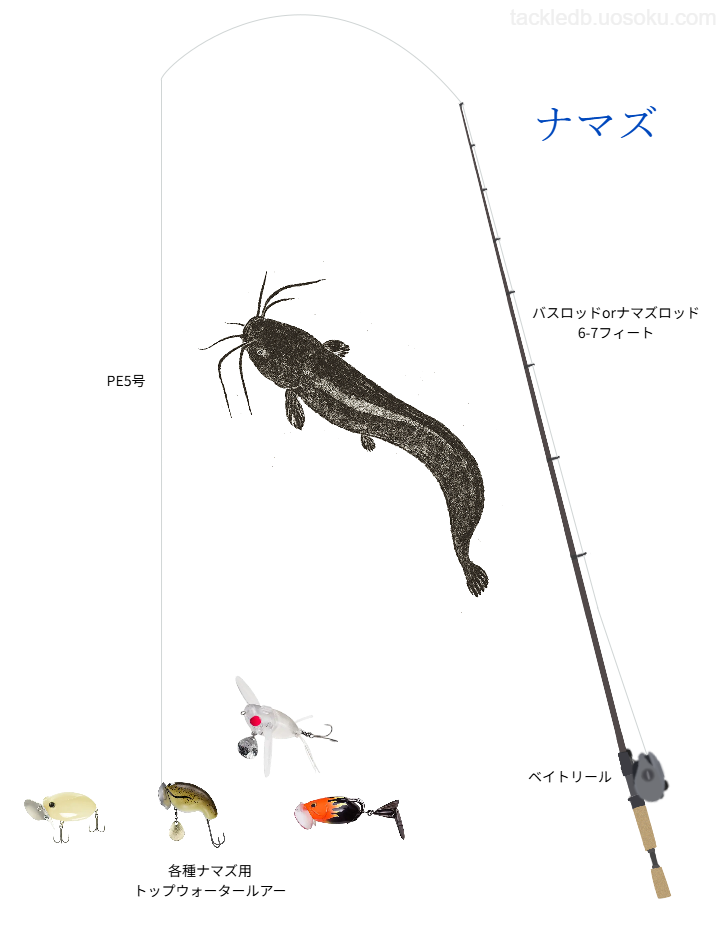 ナマズルアー釣りの基本タックル