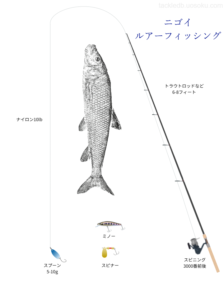 ニゴイのルアーの基本仕掛け・タックル