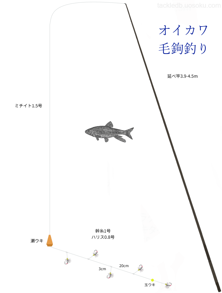 オイカワ毛鉤釣り(蚊バリ仕掛け)