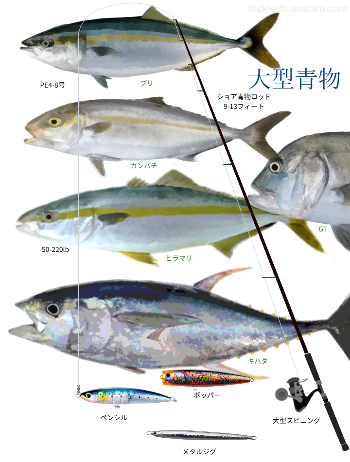 大型青物のルアーフィッシングの基本タックル